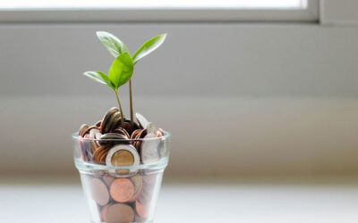 Down Payment Guidelines