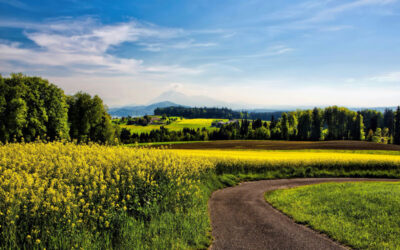 Financing Rural Properties in Alberta and BC