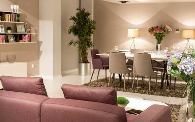 Building a Portfolio: Multiple Rental Properties